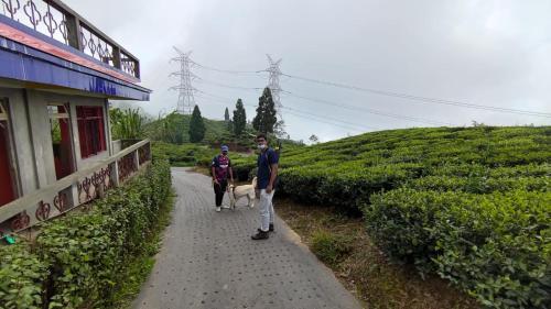 Theeng's Homestay(Mirik)
