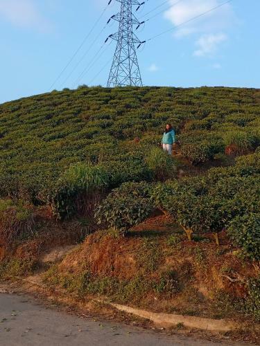 Theeng's Homestay(Mirik)