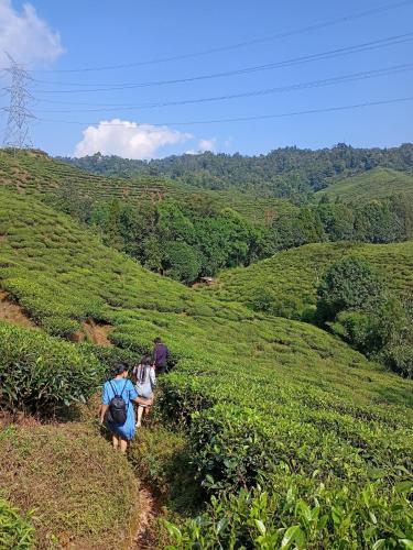 Theeng's Homestay(Mirik)