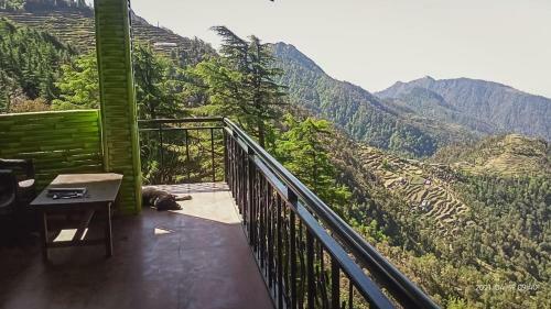 Hotel Dhanaulti Jungle Resort