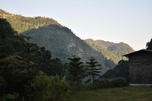 Hotel A Dogs Story, Mussoorie