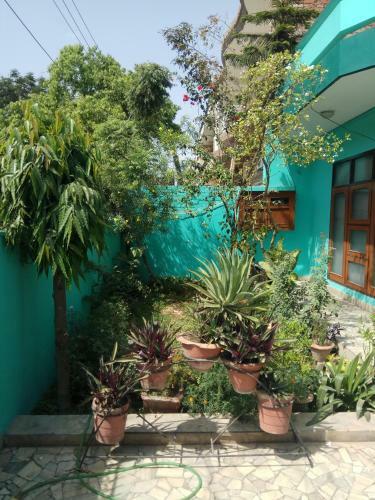 Albergue Royals Stay