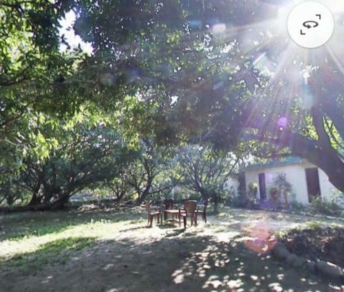 Shekhar Big Cat Corbett Safari Camp