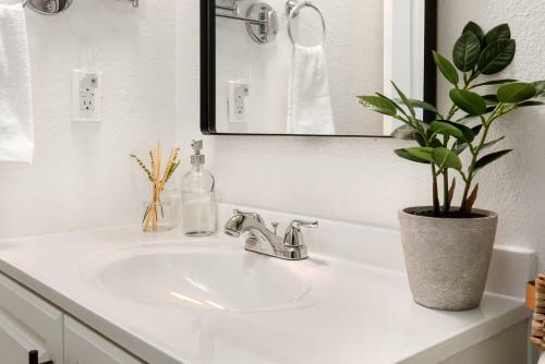Gorgeous 2 Bedroom, King Bed, Central Sacramento