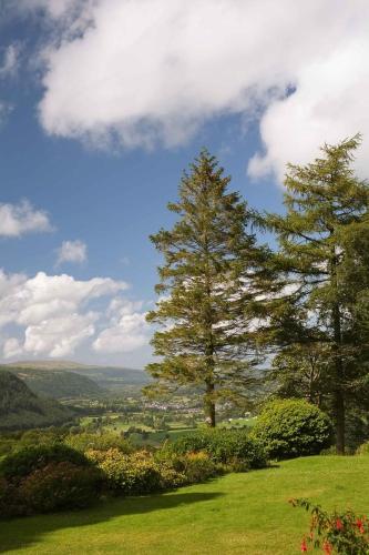 Hostal Tan-y-foel Country Guest House