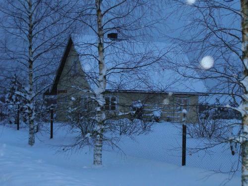 Homestay Metsaveere Turismitalu