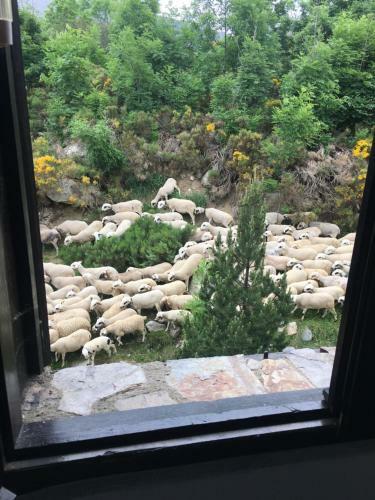 Acollidor Apartament A Vall de Bo�