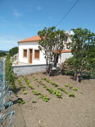 Casa Da Fonte