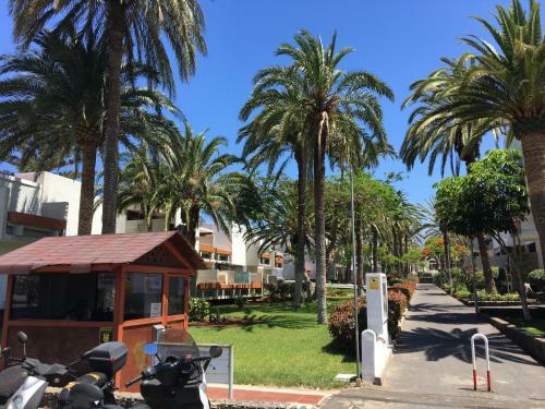 Apartamento Residencial Primavera