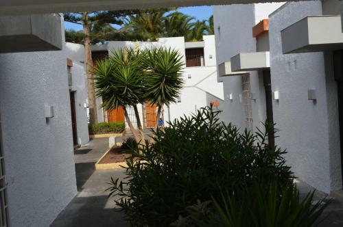 Apartamento Residencial Primavera