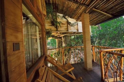 Bed & Breakfast The Winsome & Tree House