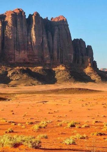 Wadi Rum Watch The Stars
