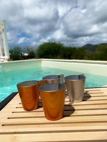 Sainte-anne , F2 Avec Mini-piscine Et Pergola