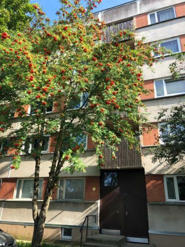 Apartments Kohtla-jarve