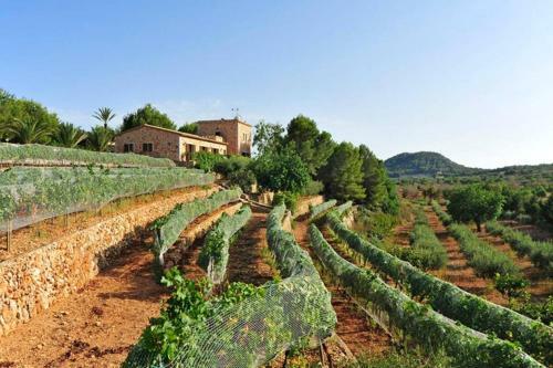 Villa Es Castell de Ca N'alou de Ses Cases Noves