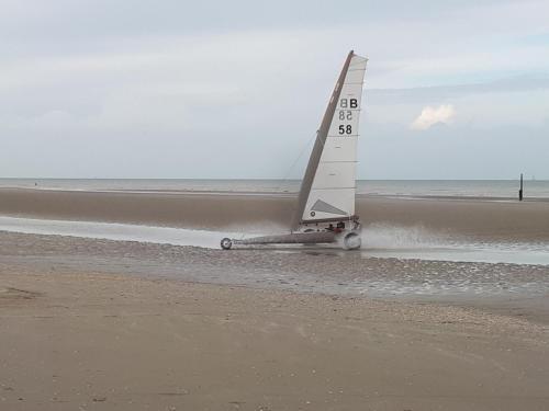 Apartamento de Panne Studio Vue Sur Mer