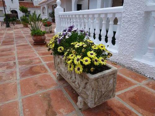 Apartamento Agradable Con Gran Solarium En Mezquitilla