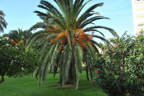 Apartamento Fewo Algarrobo-costa