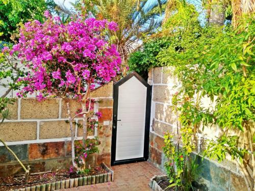 Lovely 2-bed House With Pool And Sea-view Chayofa