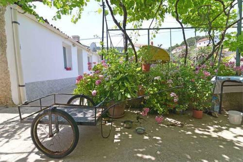 Apartments In Veli Losinj 33612
