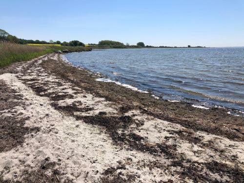 Askes Oase Guesthouse