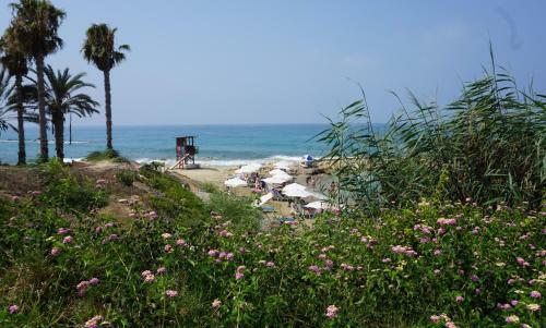 Apartamento Limnaria Gardens Paphos, Near Beach
