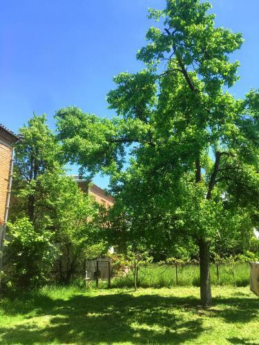 Agroturismo Ambrosador