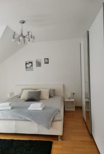 Apartman Cibale