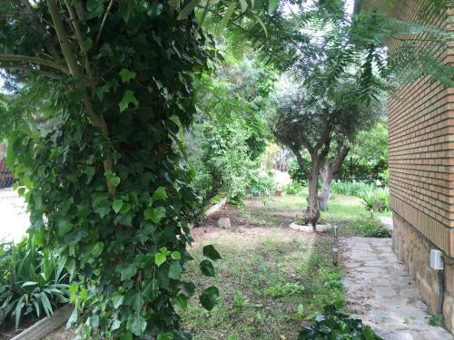 Agroturismo Casa Rural En Las Nieves