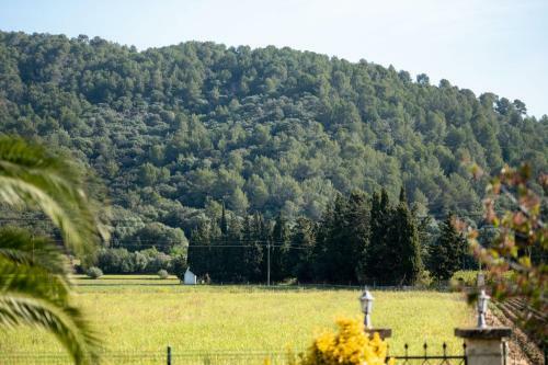 Villa Can Mussol, Sa Pobla 040