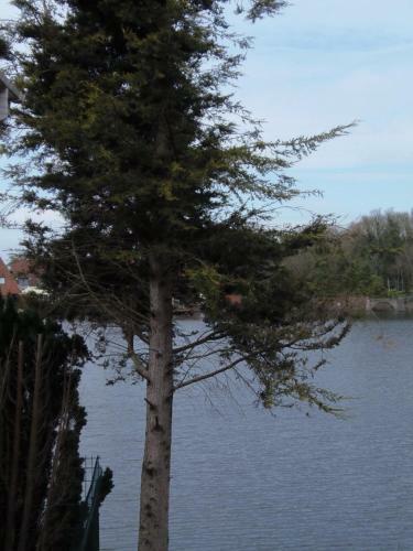 Lakeside Lodges