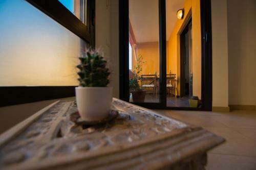 Apartamento Cosy Palm-mar Free Wifi