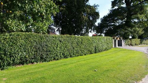 Bed & Breakfast Ty Derw Country House B&amp;b