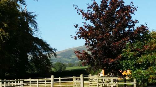 Bed & Breakfast Ty Derw Country House B&amp;b