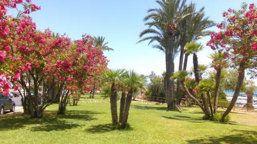 Apartament Margarita Cabo Roig "ozonizado"