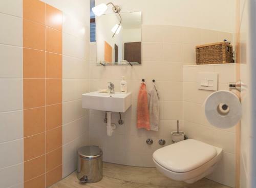 Villa Holiday Home Vizinada