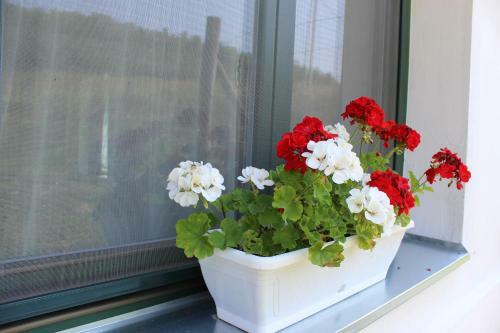 Apartamento Patr�cia Pihen?h�z