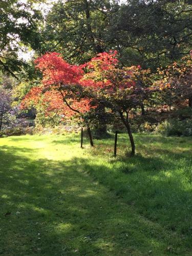Bed & Breakfast Dalmunach House