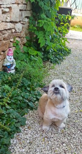 Beautiful House In Vodnjan