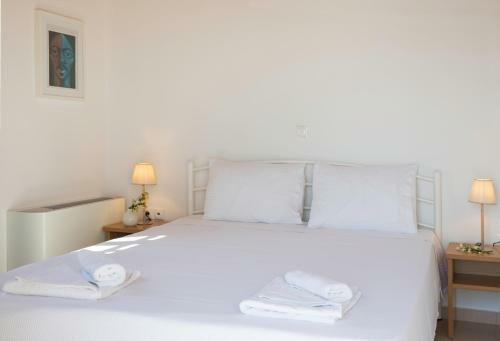 Villa Cerise By Olive Villa Rentals