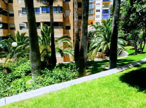 Apartamento Entreplayas 2
