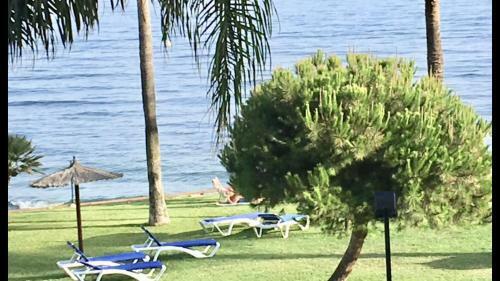 Mi Capricho 9a Beachfront- Apartment With Sea View - Costa Del Sol