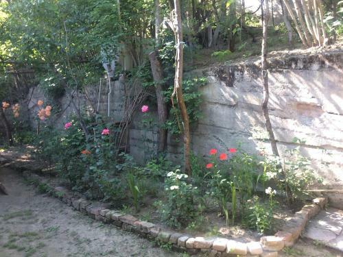 Hostal Guesthouse Malkhazi