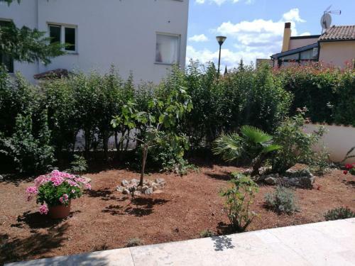 Apartamento Ferienhaus Bozena Appartment 6