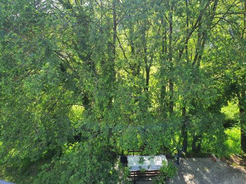 Apartman Brijestovi