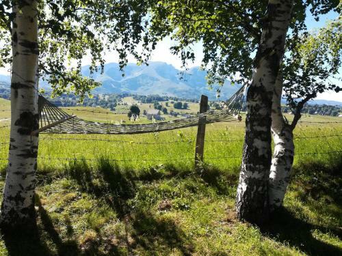 Hostal Organic Family Farm