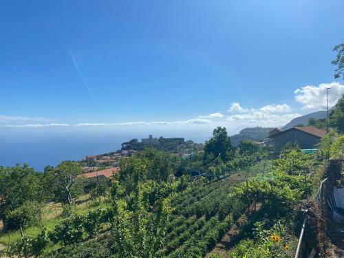 Apartamento La Casa Dei Nonni