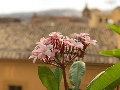 Bed & Breakfast Terrazze Di Montelusa