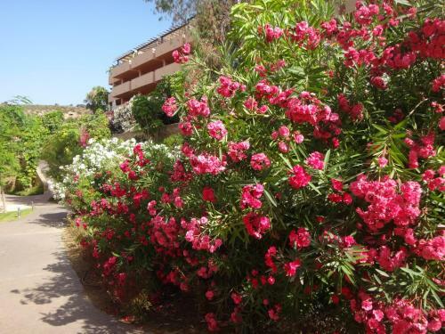 Apartamento 2172-modern Apt 2 Bedrooms, Sea View!