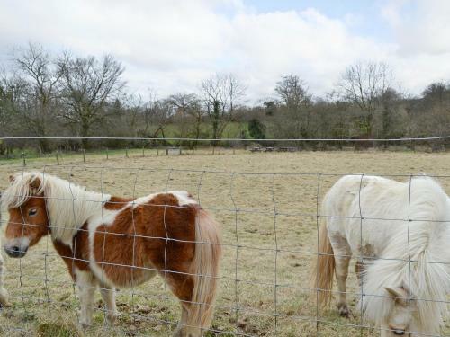Coach House At Gaer Cottages